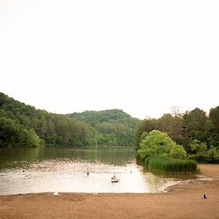 Tiny House Strouds Run Lake أثينا المظهر الخارجي الصورة